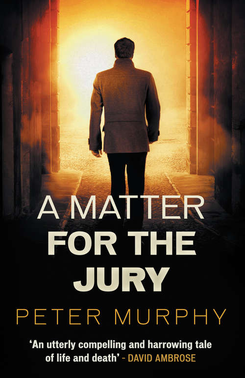 Book cover of A Matter for the Jury: A dramatic capital murder trial (A Ben Schroeder legal thriller)