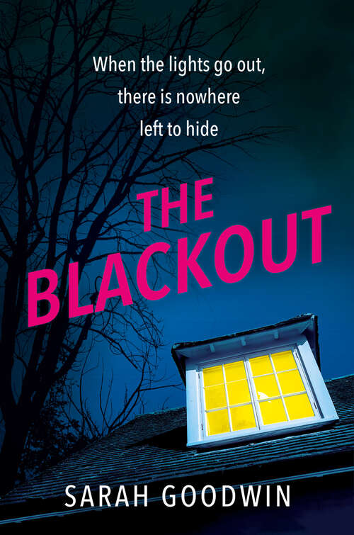 Book cover of The Blackout