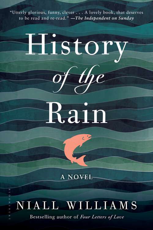 Book cover of History of the Rain: A Novel