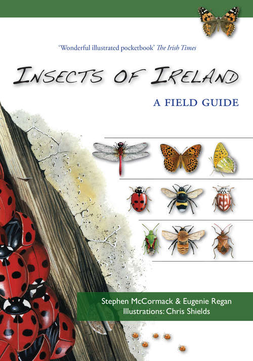 Book cover of Insects of Ireland: An Illustrated Introduction Ireland's Butterflies, Ladybirds, Shieldbugs, Ants And Other Groups