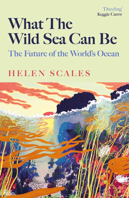 Book cover of What the Wild Sea Can Be: The Future Of The Worlds Ocean