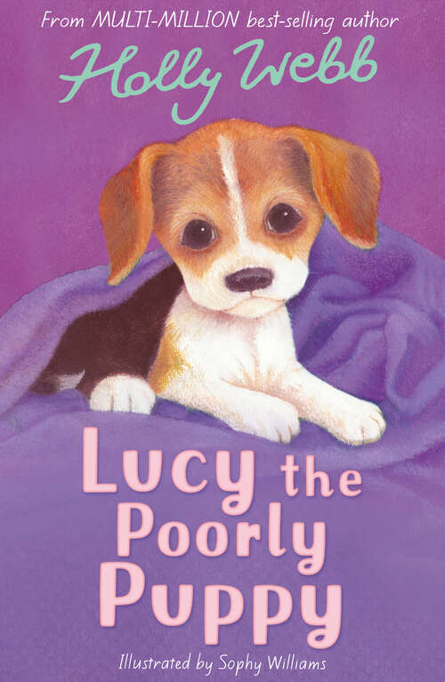 Book cover of Lucy the Poorly Puppy: Lucy The Poorly Puppy, Jess The Lonely Puppy, Ellie The Homesick Puppy (Holly Webb Animal Stories #16)