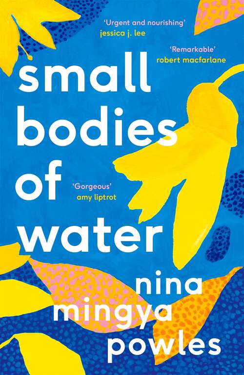 Book cover of Small Bodies of Water