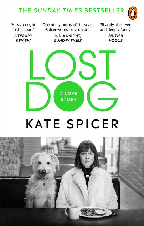 Book cover of Lost Dog: A Love Story