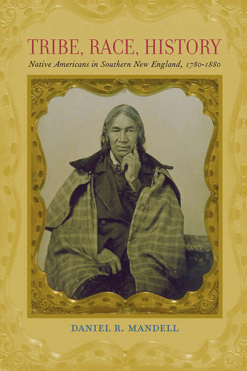 Book cover of Tribe, Race, History: Native Americans in Southern New England, 1780–1880 (The Johns Hopkins University Studies in Historical and Political Science #125)