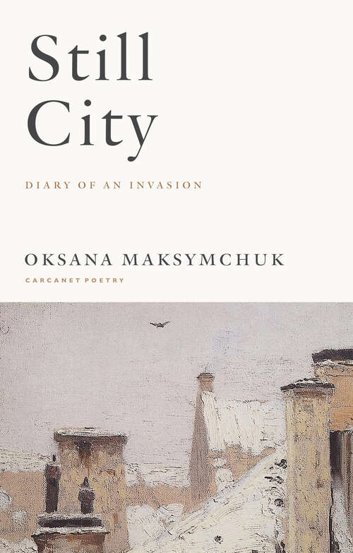 Book cover of Still City