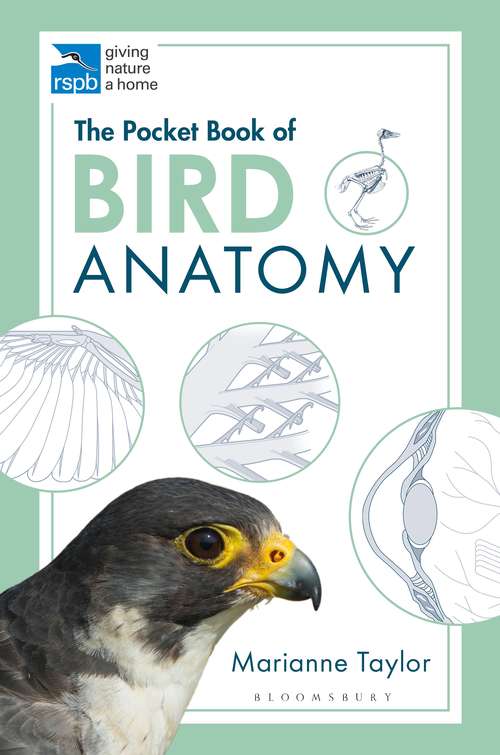 Book cover of The Pocket Book of Bird Anatomy (RSPB)