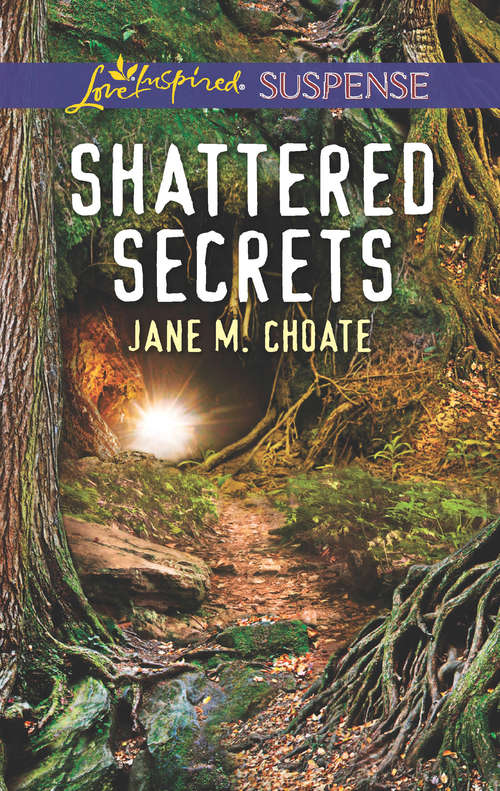 Book cover of Shattered Secrets: Amish Refuge Texas Takedown Shattered Secrets (ePub edition) (Mills And Boon Love Inspired Suspense Ser.)