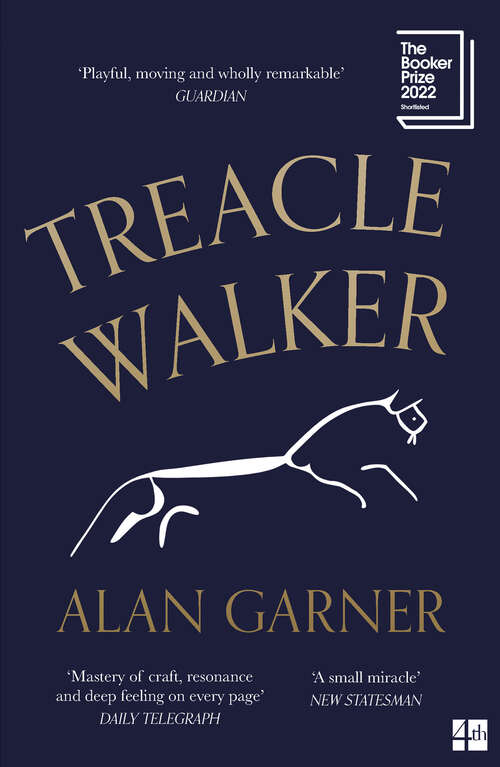 Book cover of Treacle Walker