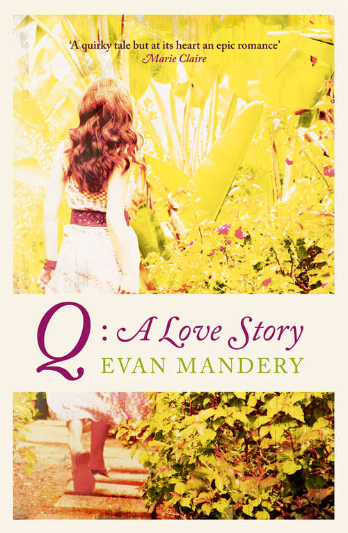 Book cover of Q: A Love Story (ePub edition)