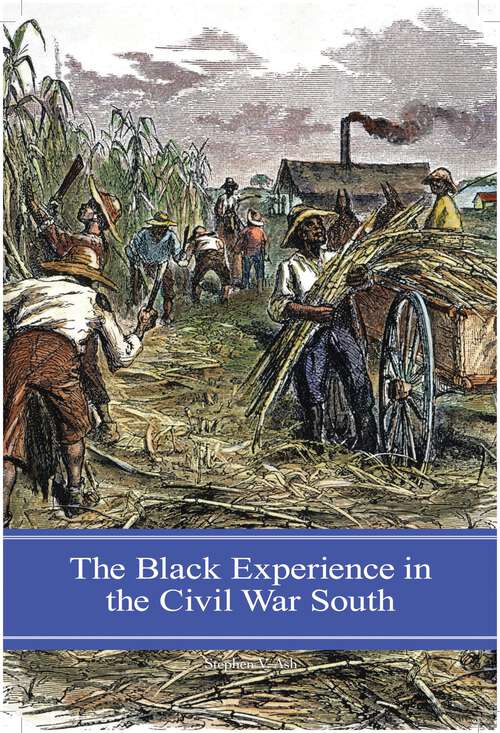 Book cover of The Black Experience in the Civil War South (Reflections on the Civil War Era)