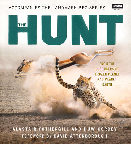 Book cover of The Hunt: The Outcome Is Never Certain