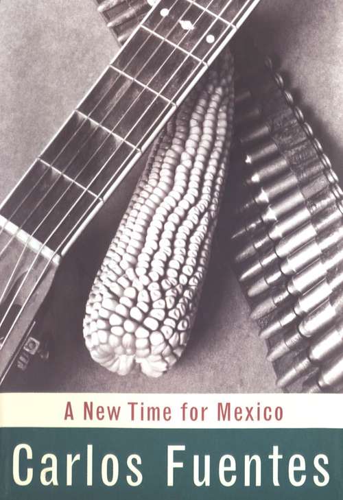 Book cover of A New Time for Mexico