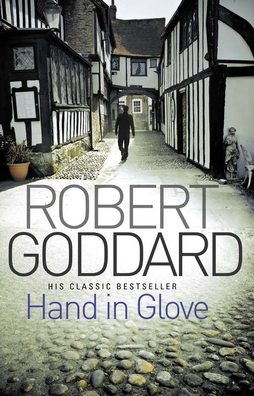 Book cover of Hand In Glove