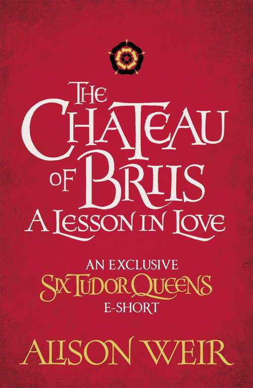 Book cover of The Chateau of Briis: A Lesson in Love