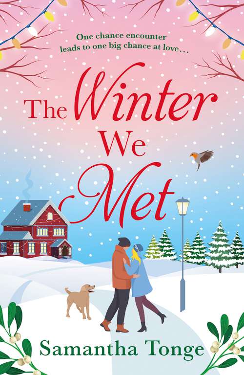 Book cover of The Winter We Met: A Heartwarming, Feel-good Christmas Romance