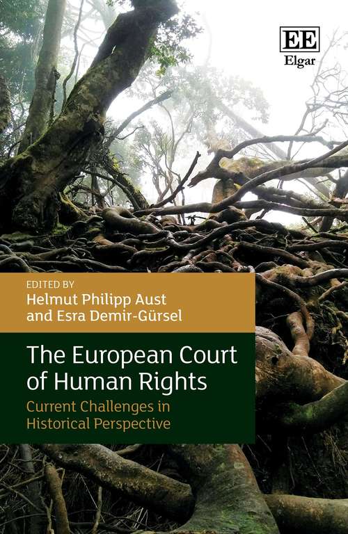 Book cover of The European Court of Human Rights: Current Challenges in Historical Perspective