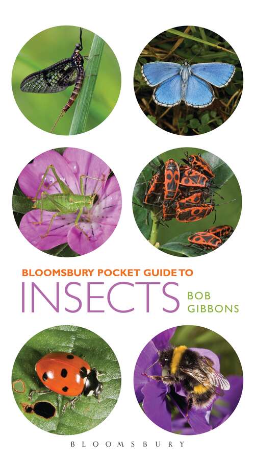 Book cover of Pocket Guide to Insects (Pocket Guides)