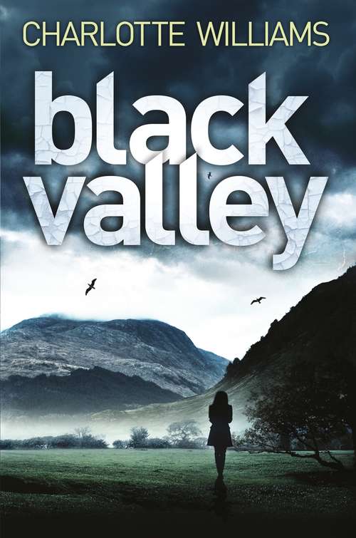 Book cover of Black Valley