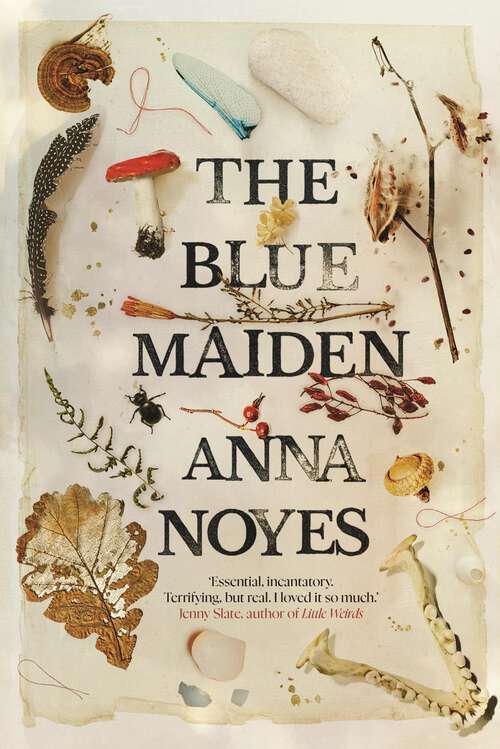 Book cover of The Blue Maiden