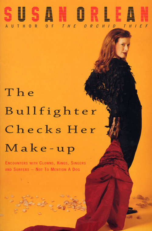 Book cover of The Bullfighter Checks Her Make-Up