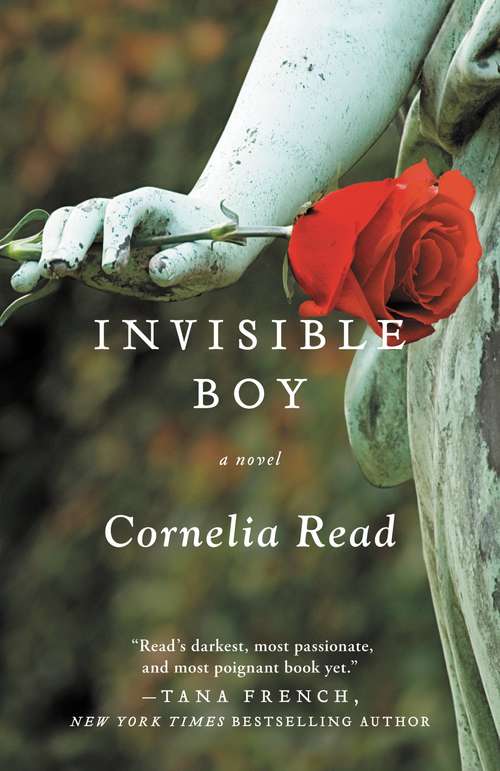 Book cover of Invisible Boy (A\madeline Dare Novel Ser. #3)