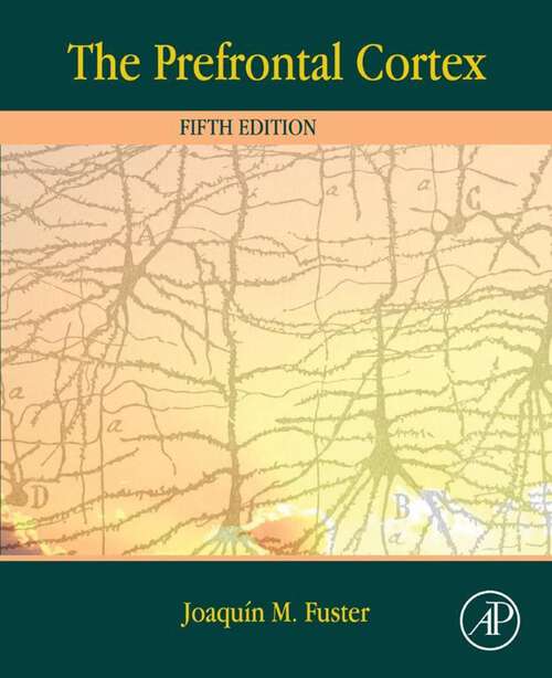 Book cover of The Prefrontal Cortex (5)