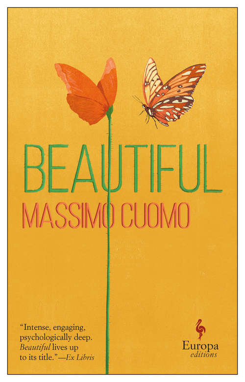 Book cover of Beautiful