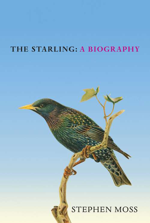 Book cover of The Starling: A Biography (The Bird Biography Series #6)