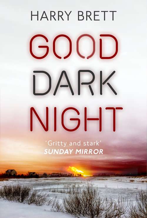 Book cover of Good Dark Night (The Goodwins)