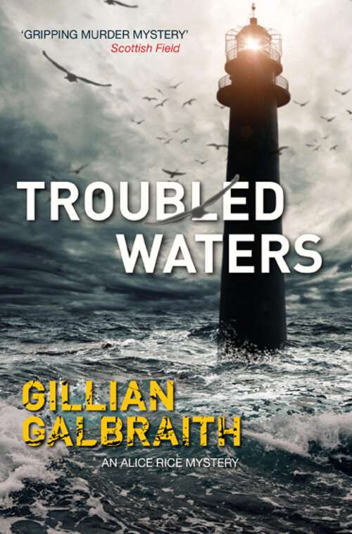 Book cover of Troubled Waters: An Alice Rice Mystery: Book 6 (The\alice Rice Mysteries Ser. #6)