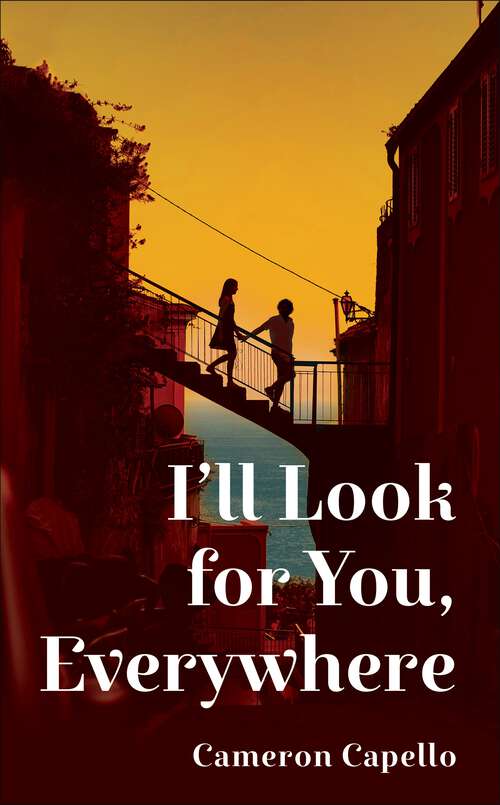 Book cover of I'll Look for You, Everywhere: the highly anticipated and mesmerizing debut romance novel of summer 2024