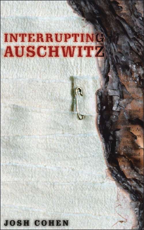 Book cover of Interrupting Auschwitz: Art, Religion, Philosophy