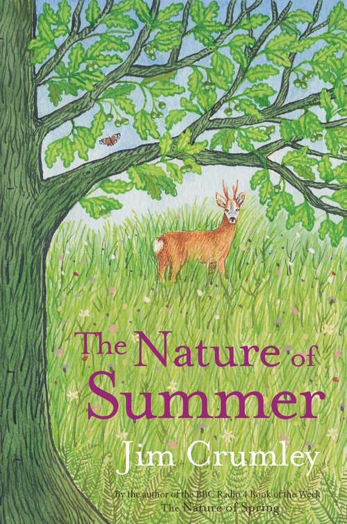 Book cover of The Nature of Summer (Seasons)