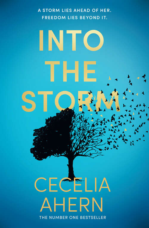 Book cover of Into the Storm