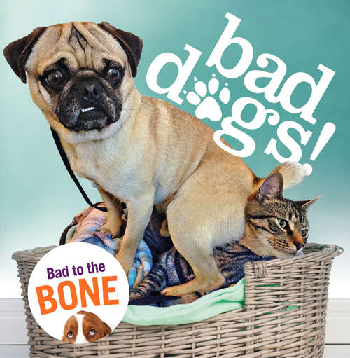 Book cover of Bad Dogs