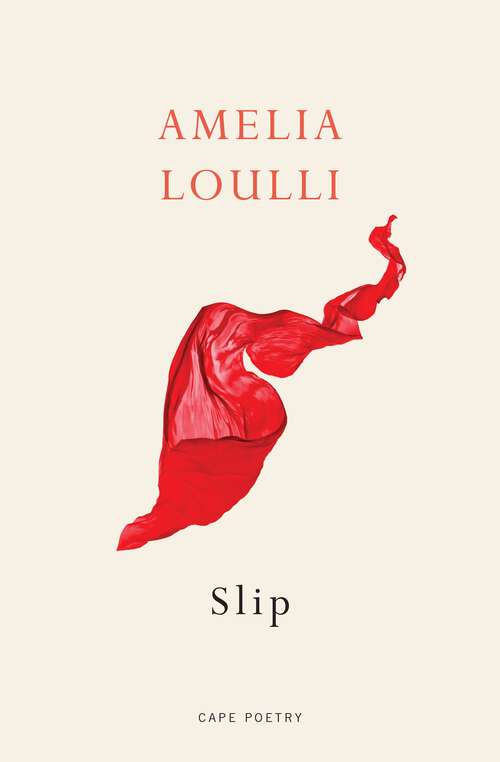 Book cover of Slip: From the Winner of the Northern Writers’ Award