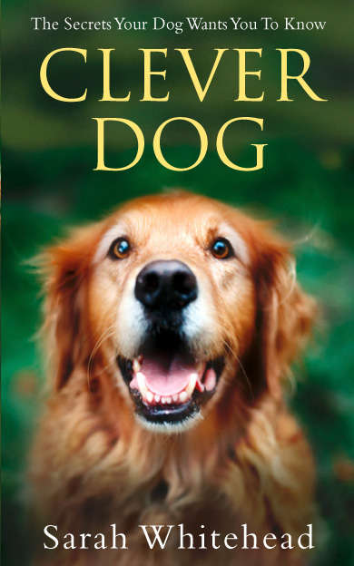 Book cover of Clever Dog: The Secrets Your Dog Wants You To Know (ePub edition)