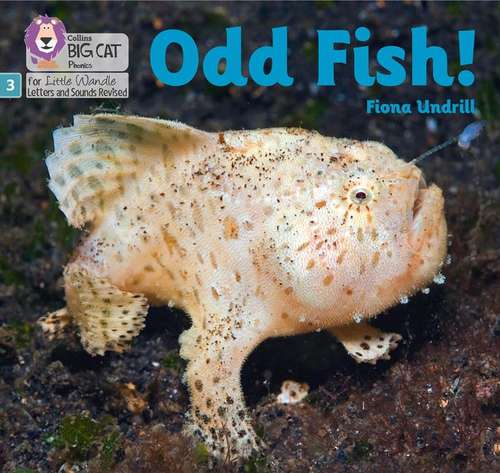 Book cover of Odd Fish! (PDF): Phase 3 (Collins Big Cat)