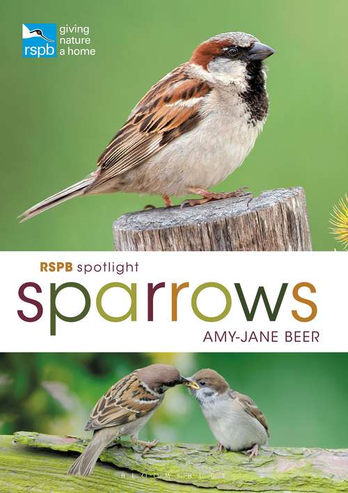 Book cover of RSPB Spotlight Sparrows (RSPB)