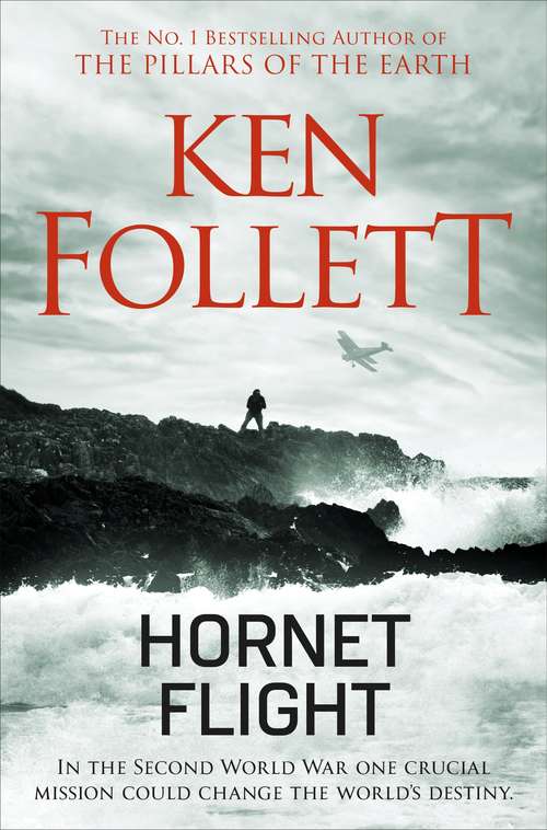 Book cover of Hornet Flight (Core Ser.)