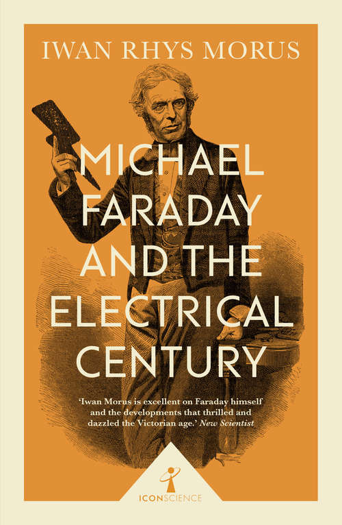 Book cover of Michael Faraday and the Electrical Century: Revolutions In Science (Icon Science)
