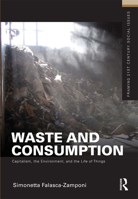 Book cover of Waste and Consumption: Capitalism, the Environment, and the Life of Things