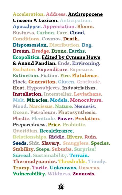 Book cover of Anthropocene Unseen: A Lexicon