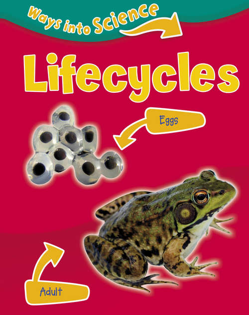 Book cover of Lifecycles (Ways Into Science #7)
