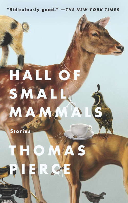 Book cover of Hall of Small Mammals: Stories