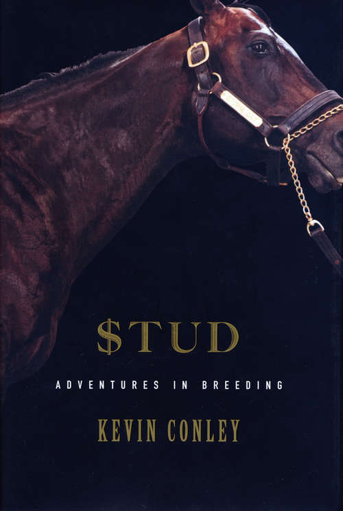Book cover of Stud: Adventures in Breeding