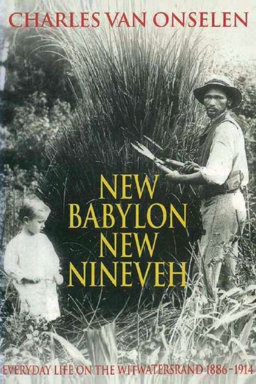 Book cover of New Babylon New Nineveh