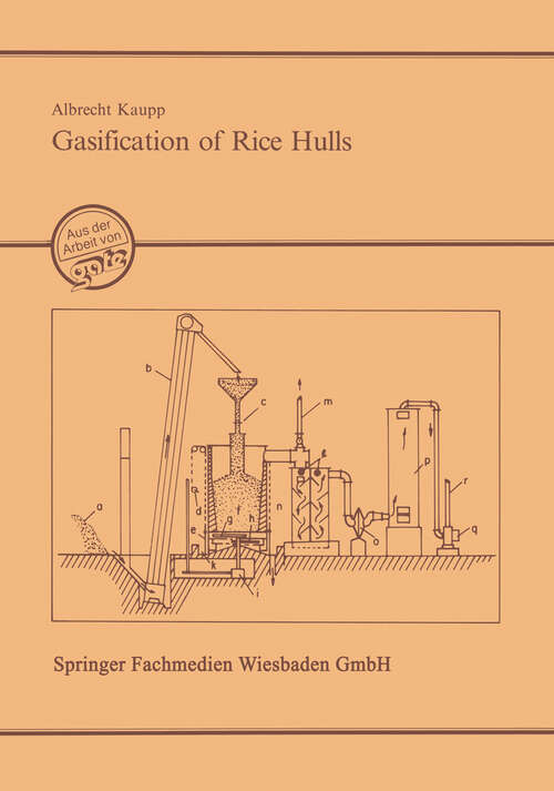 Book cover of Gasification of Rice Hulls: Theory and Praxis (1984)