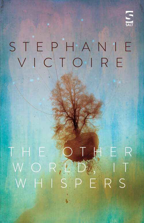 Book cover of The Other World, It Whispers